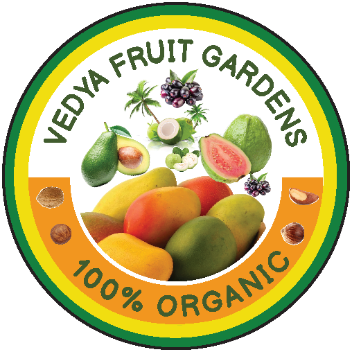 Vedya Fruit Gardens